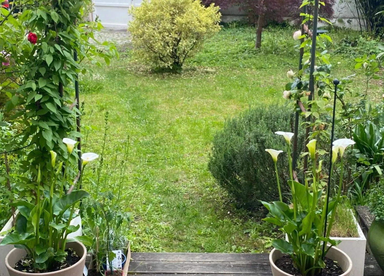 Un Jardin En Ville - Parking Gratuit Lyon
