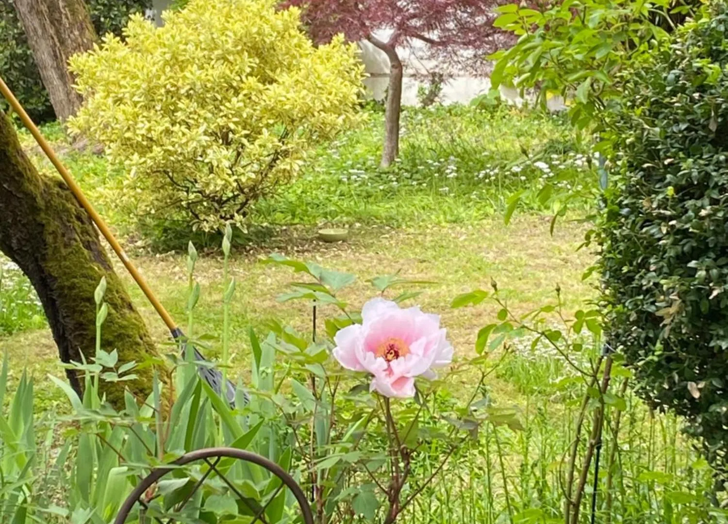 Un Jardin En Ville - Parking Gratuit Lyon Apartment